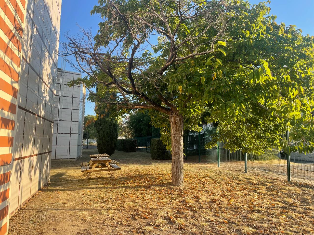 Bureau Toulouse 144m² Location bureau Toulouse Haute-Garonne OLBUR2528996 1